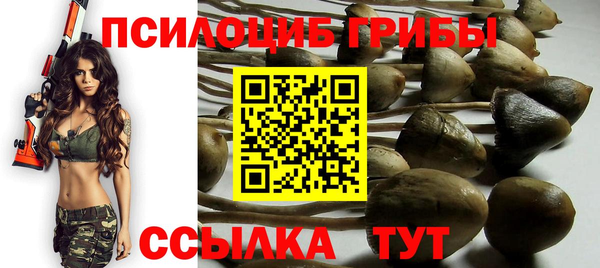 Галлюциногенные грибы GOLDEN TEACHER  Вход с VPN  Иваново 